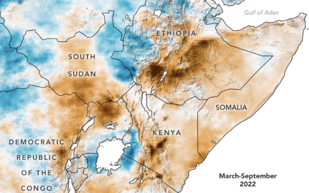 El Cuerno de África afectado por la peor sequía